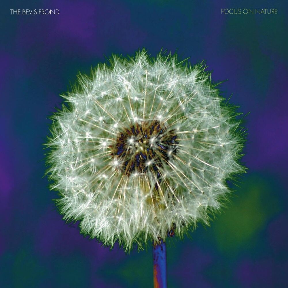 

Виниловая пластинка LP Focus On Nature [Purple Vinyl] - The Bevis Frond
