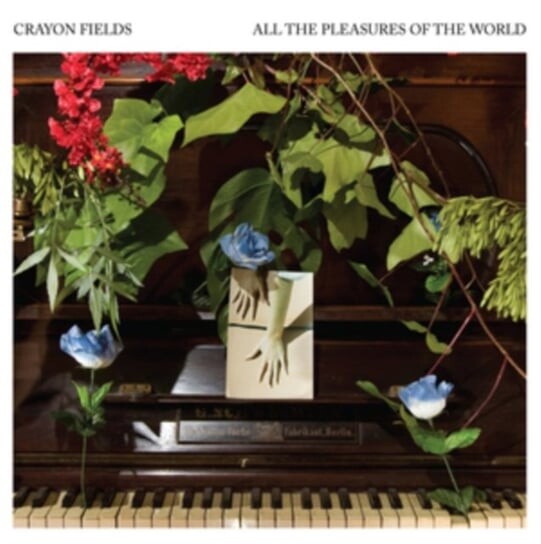 

Виниловая пластинка Crayon Fields - All the Pleasures of the World