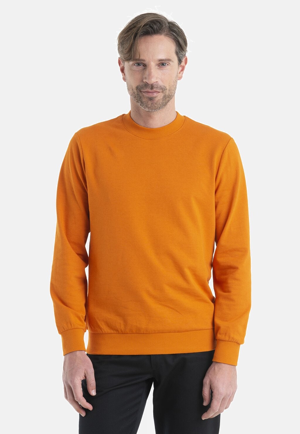 

Толстовка Merino Central Ii Ls Sweatshirt Icebreaker, цвет earth