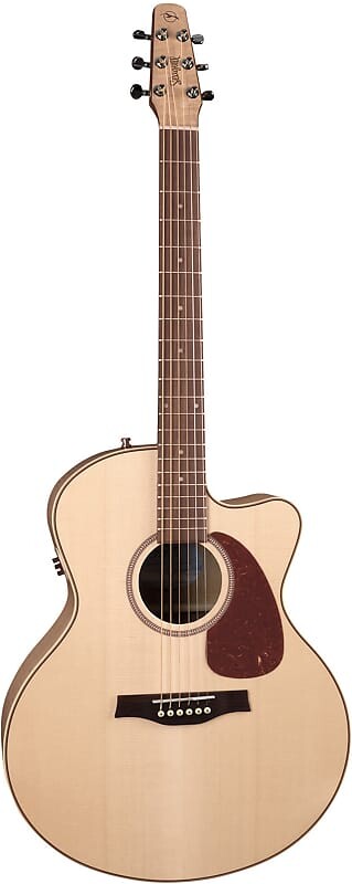 

Акустическая гитара Seagull Performer CW Mini Jumbo HG Presys II Acoustic-Electric w/Padded Gig Bag