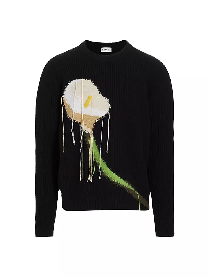 

Шерстяной свитер интарсии Lanvin, черный