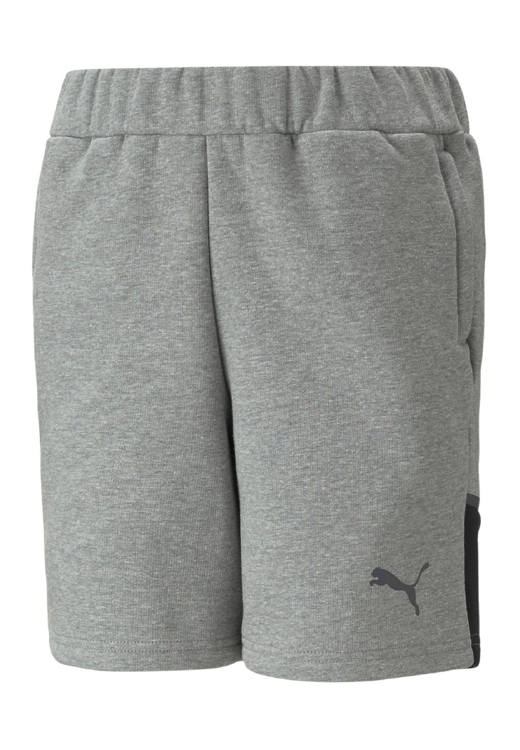 Спортивные брюки TEAMCUP CASUALS Puma, цвет grau
