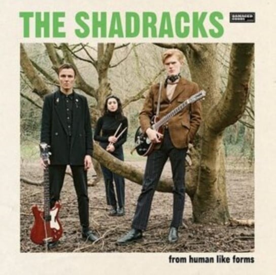 

Виниловая пластинка The Shadracks - From Human Like Forms