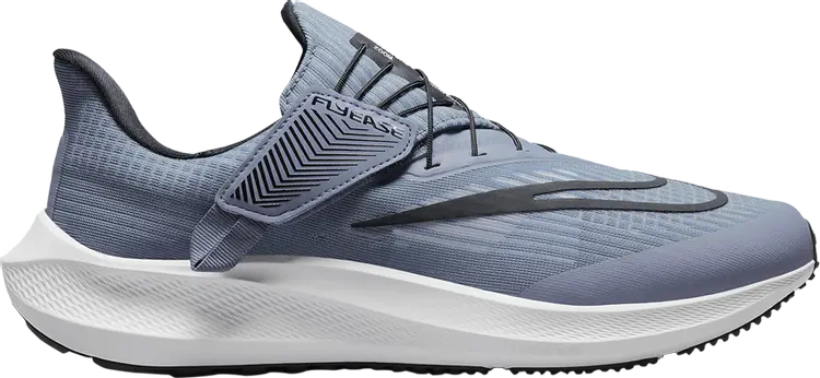 

Кроссовки Air Zoom Pegasus 39 'Ashen Slate', синий