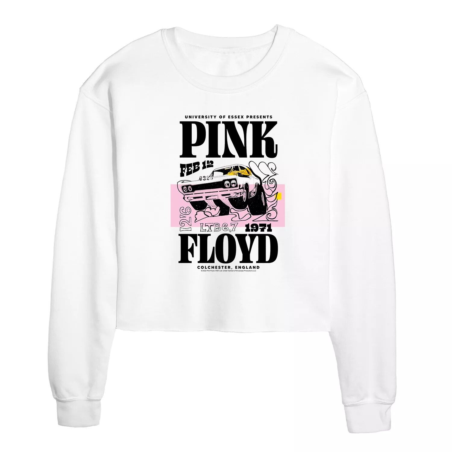 

Укороченный свитшот с рисунком Pink Floyd Essex 1971 для юниоров Licensed Character