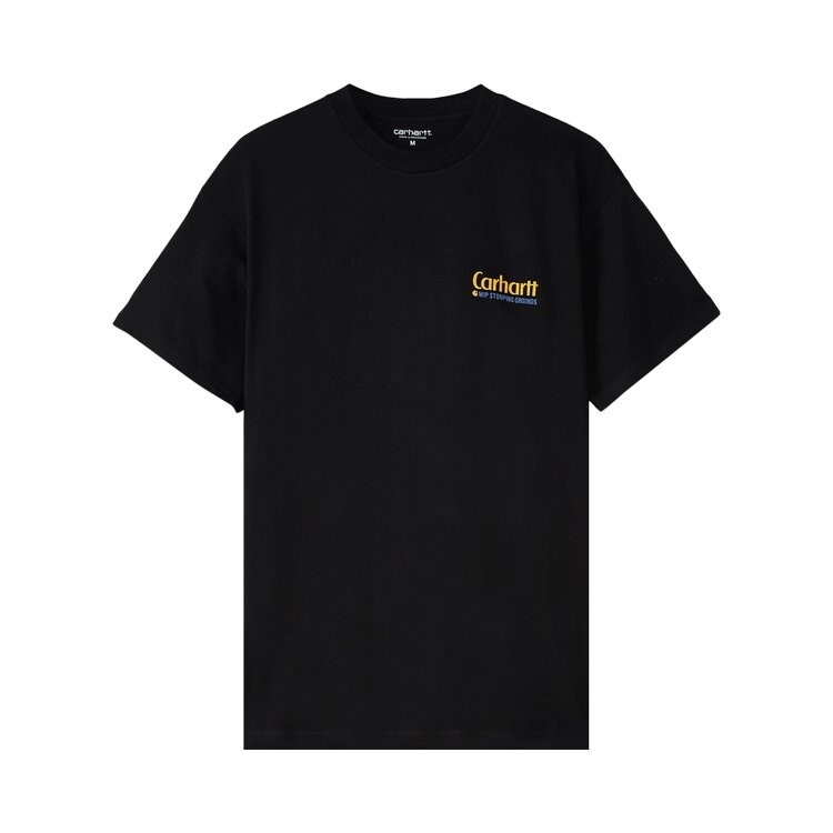 

Футболка Carhartt WIP Bewilderness 'Black', черный