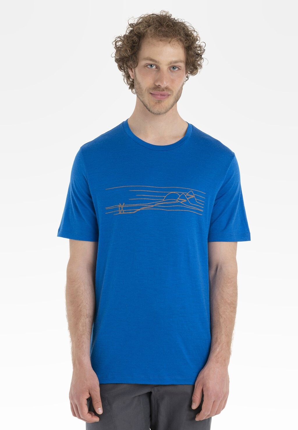 

Футболка с принтом Merino Tech Lite Ii Ss Tee Ski Stripes Icebreaker, лазурит