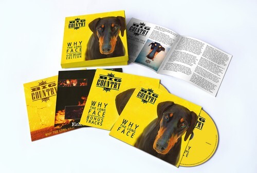 

CD диск Big Country: Why The Long Face