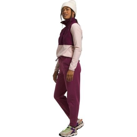 

Брюки Alpine Polartec 100 женские The North Face, цвет Boysenberry