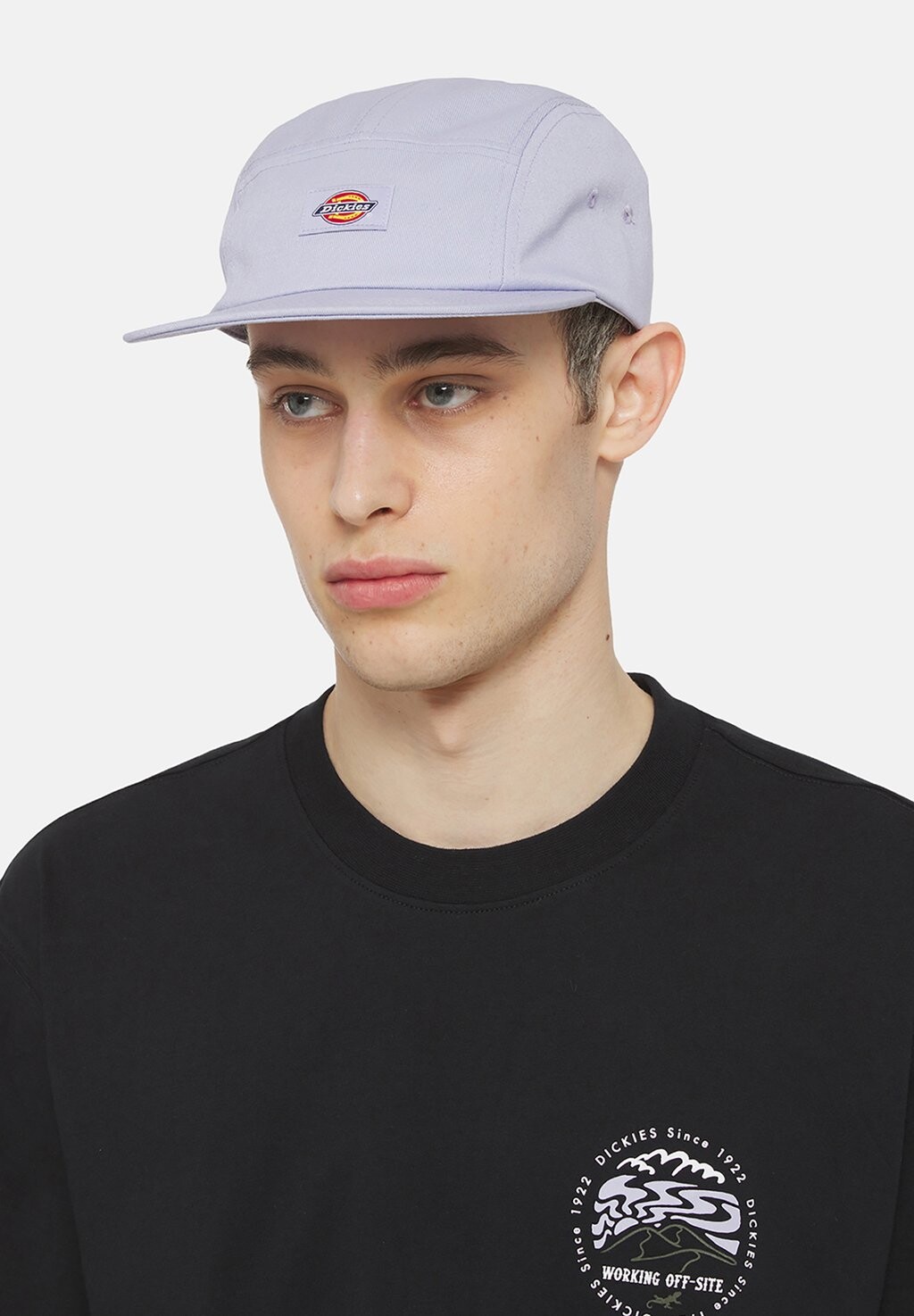 

Бейсболка ALBERTVILLE Dickies, цвет cosmic sky