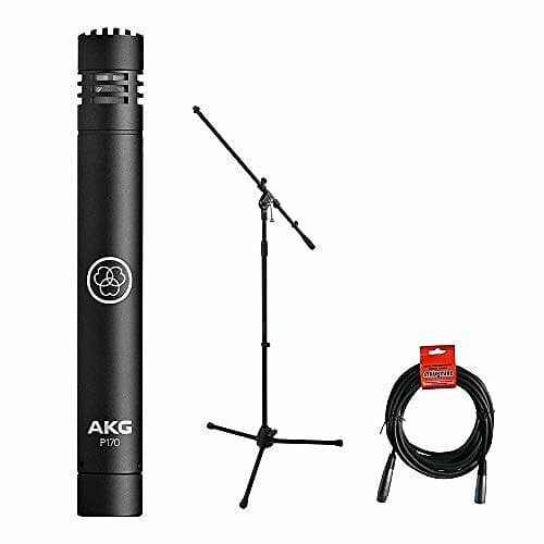 

Конденсаторный микрофон AKG P170 Small Diaphragm Cardioid Condenser Microphone