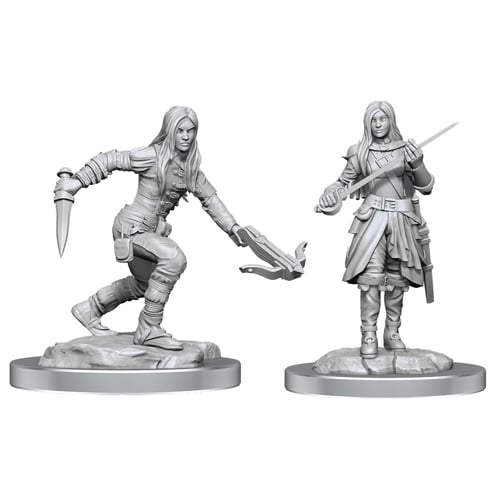 

Фигурки D&D Nolzur’S Marvelous Unpainted Miniatures: Half-Elf Rogue Female (W17)