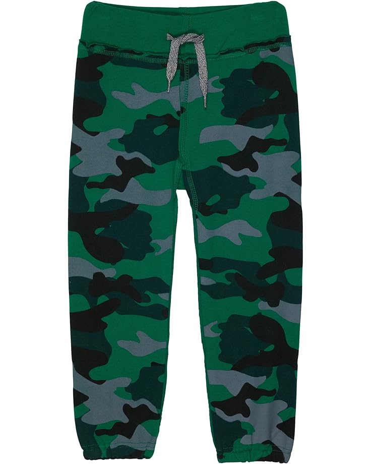 

Брюки Appaman Gym Sweats, цвет Verdant Camo