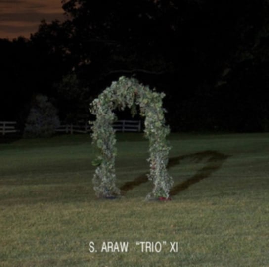 Виниловая пластинка Sun Araw 'Trio' XI - Gazebo Effect
