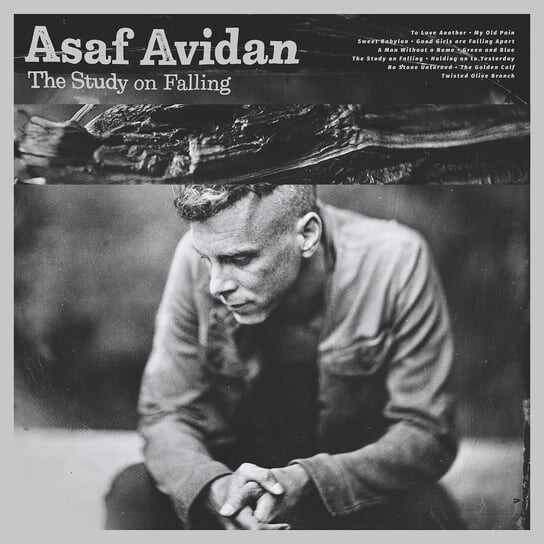 

Виниловая пластинка Avidan Asaf - The Study On Falling