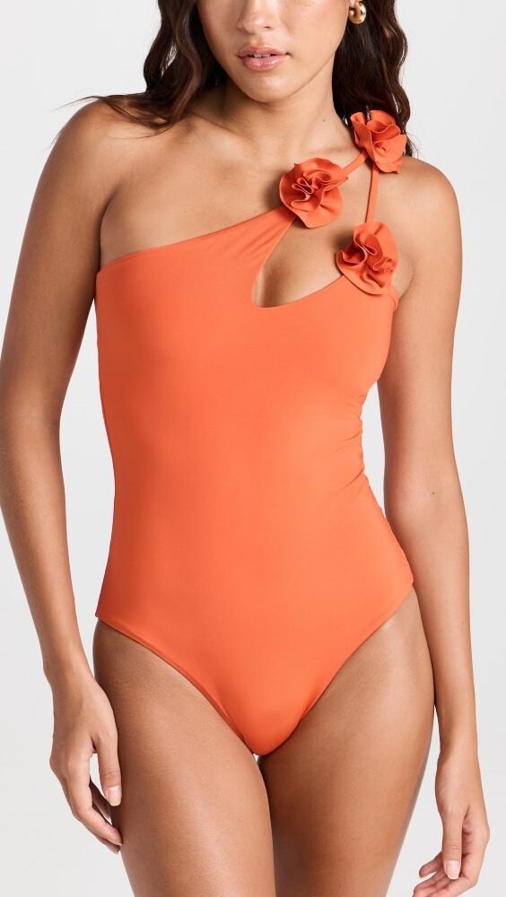 

Купальник Maygel Coronel Aldaba One Piece, загар