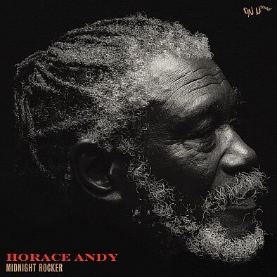 

Виниловая пластинка Andy Horace - Midnight Rocker (Limited Edition) (золотой винил)