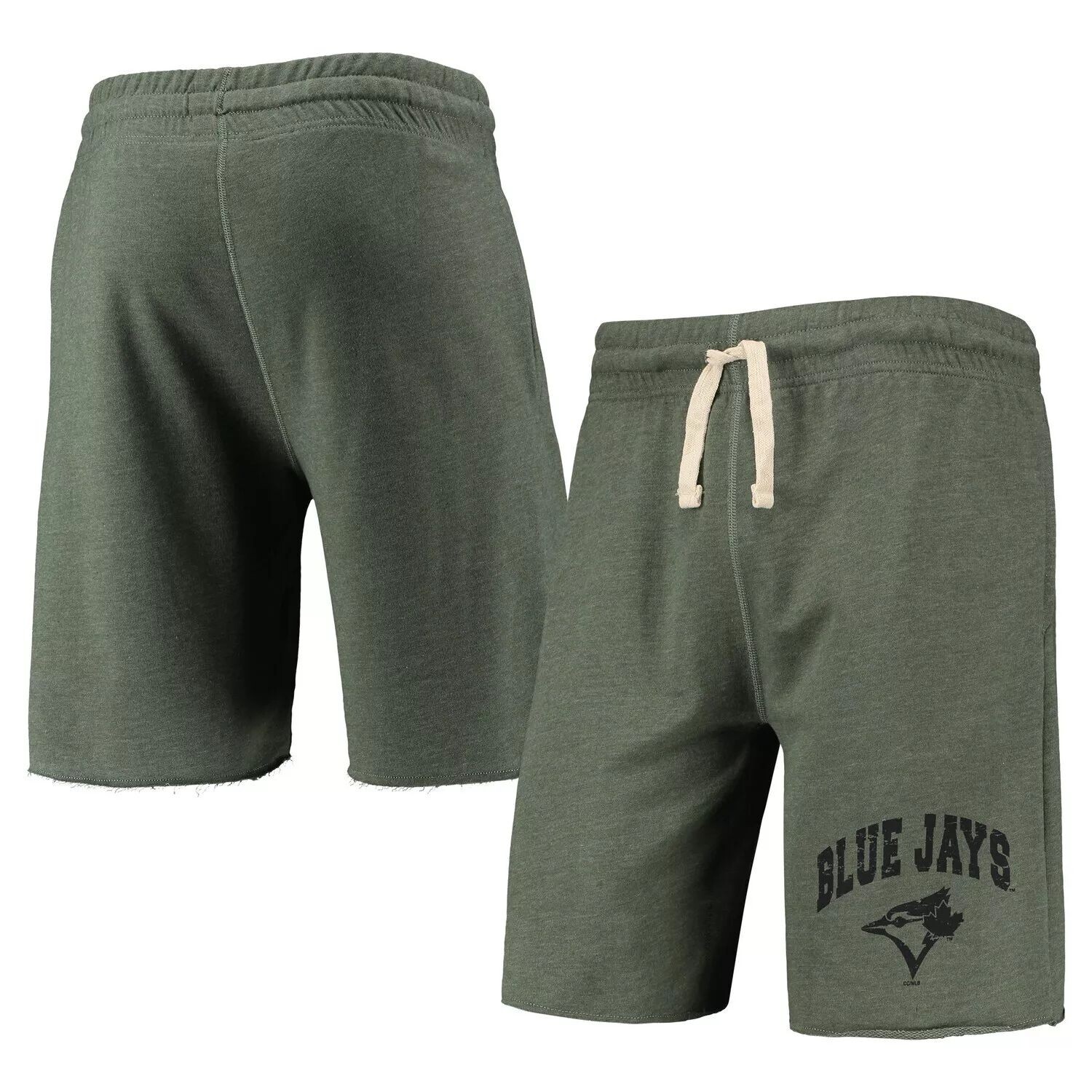 

Мужские шорты Concepts Sport с принтом зеленого цвета Toronto Blue Jays с логотипом Mainstream Terry Tri-Blend