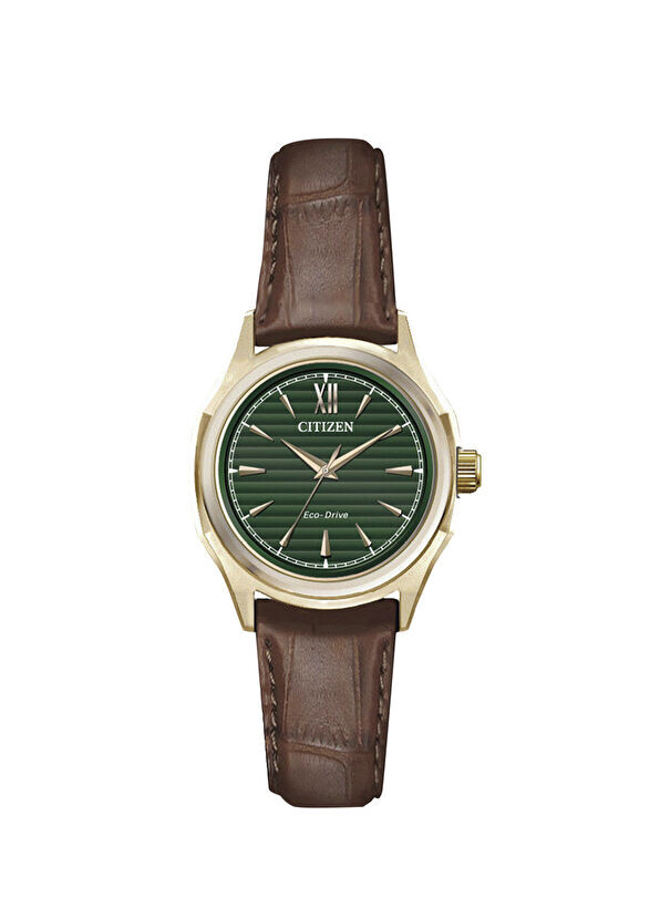 

Женские наручные часы Fe2113-16X Citizen, коричневый