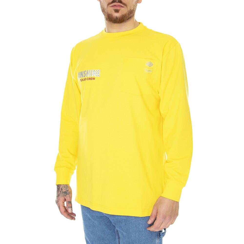 

Футболка Dickies New York Sunshine Texas, желтый