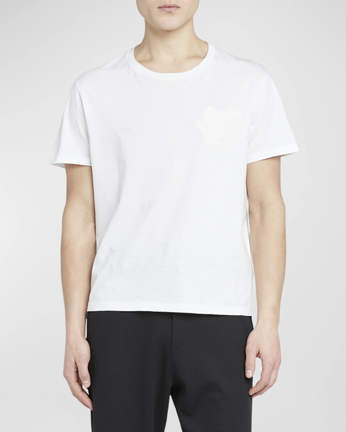 

Мужская базовая футболка с вышивкой Etro, цвет White