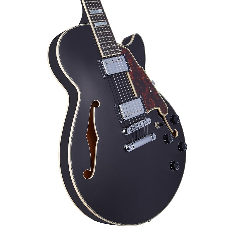 

Электрогитара D'Angelico Premier SS Semi-Hollow Electric Guitar w/ Stopbar Tailpiece Black Flake w/Gig Bag