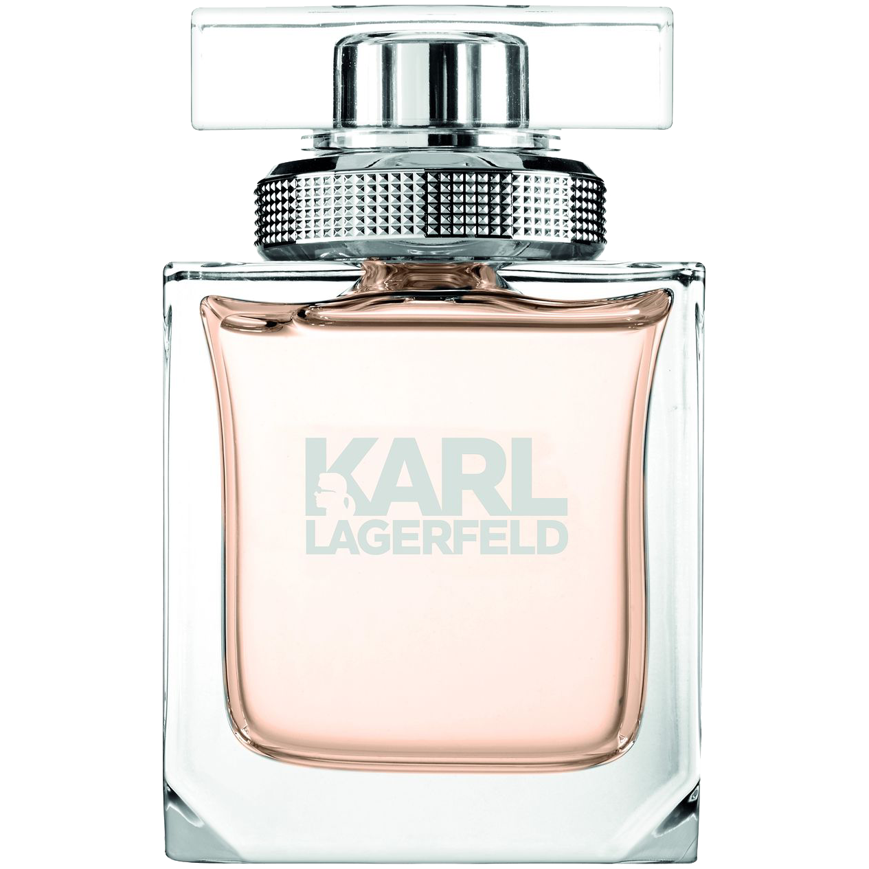 цена Женская парфюмированная вода Karl Lagerfeld Women, 85 мл