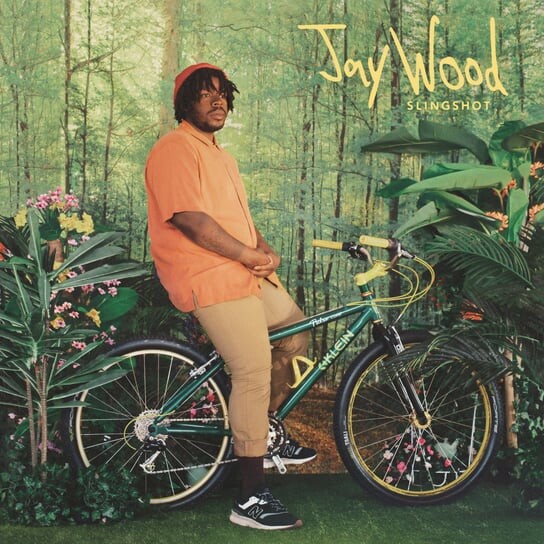 

Виниловая пластинка Jaywood - Slingshot