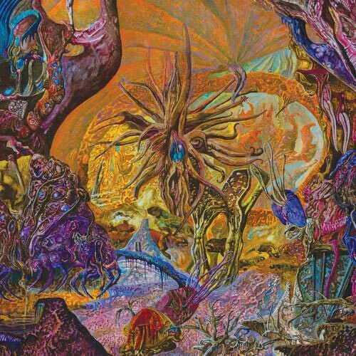 

Виниловая пластинка Slimelord - Chytridiomycosis Relinquished - Orange/Royal Blue