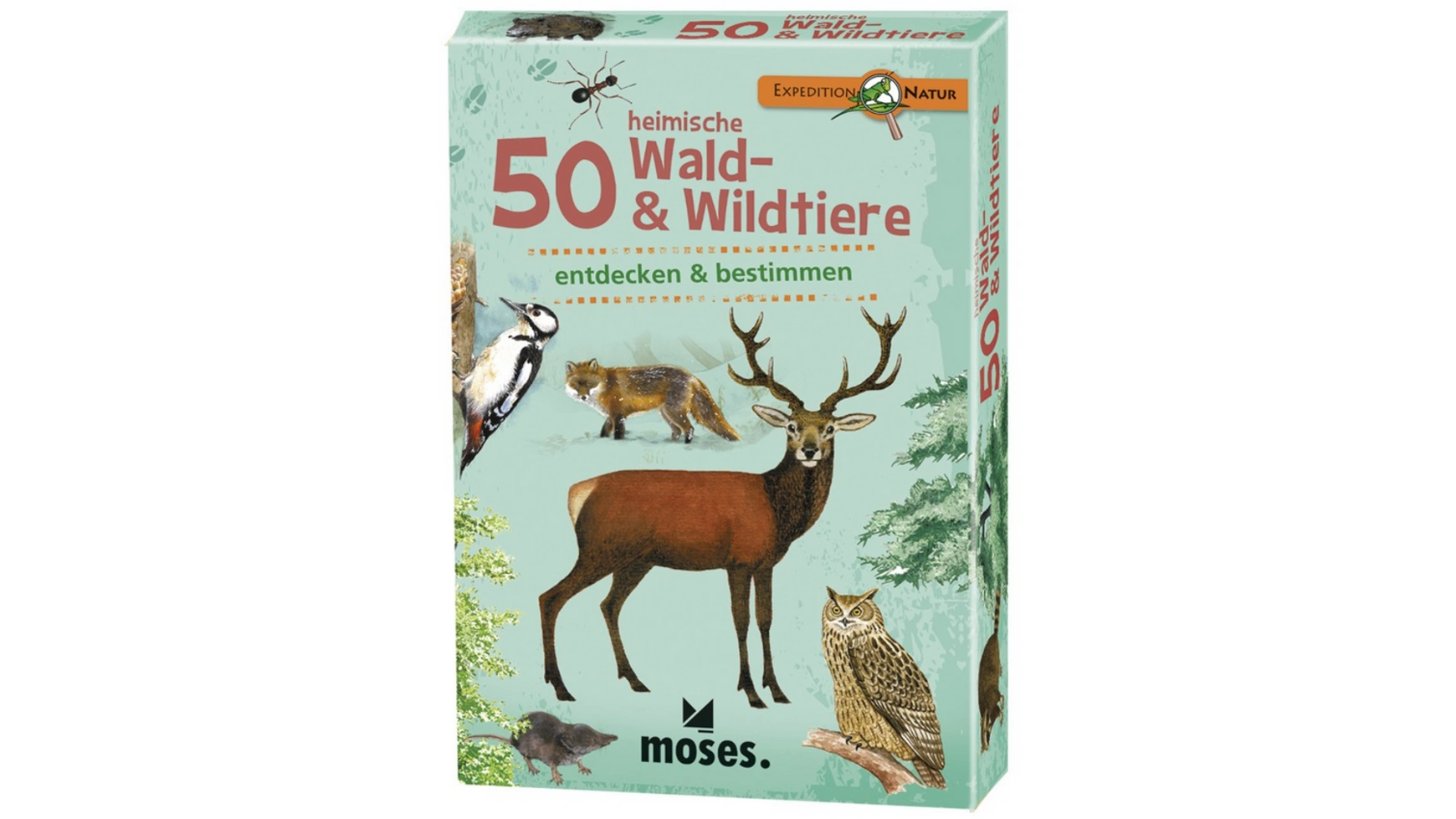 Moses Экспедиция Природа 50 местных лесных и диких животных