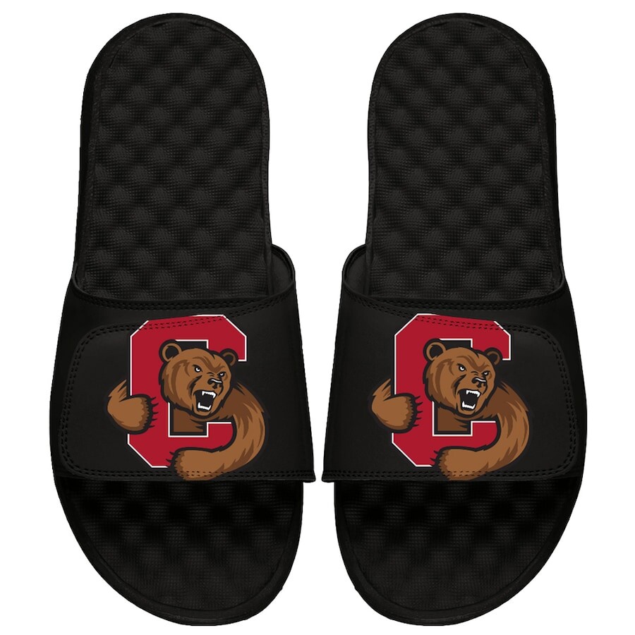 

Шлепанцы ISlide Cornell Big Red, черный