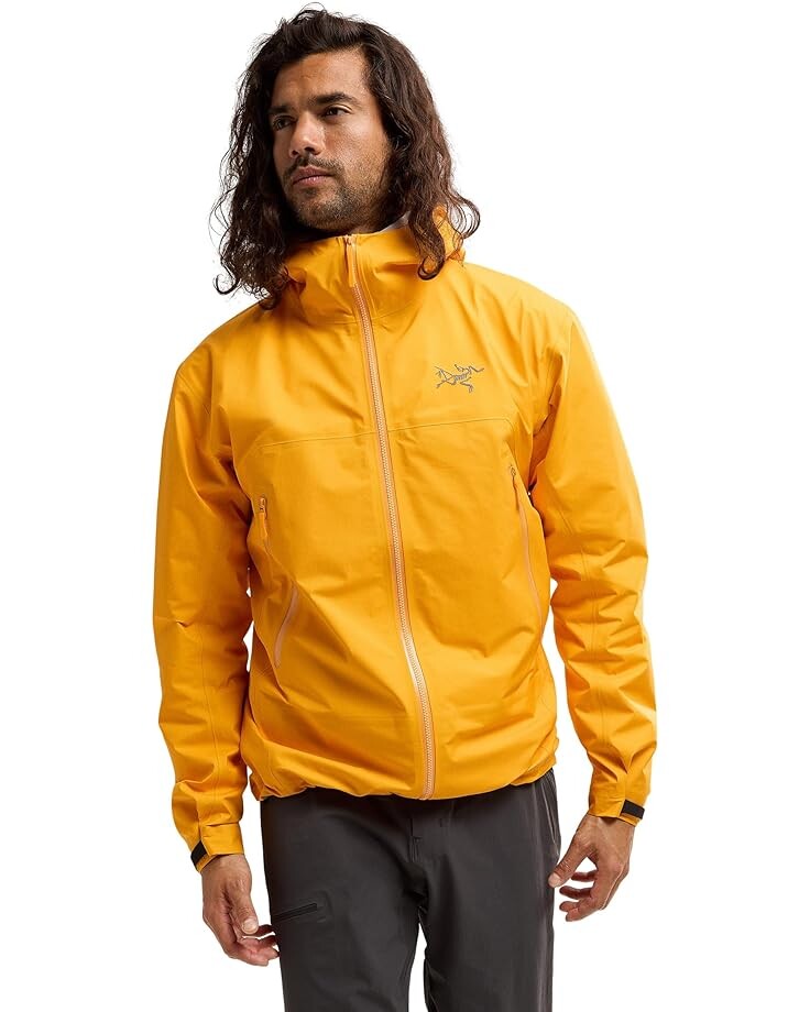

Куртка Arc'teryx Beta, цвет Edziza