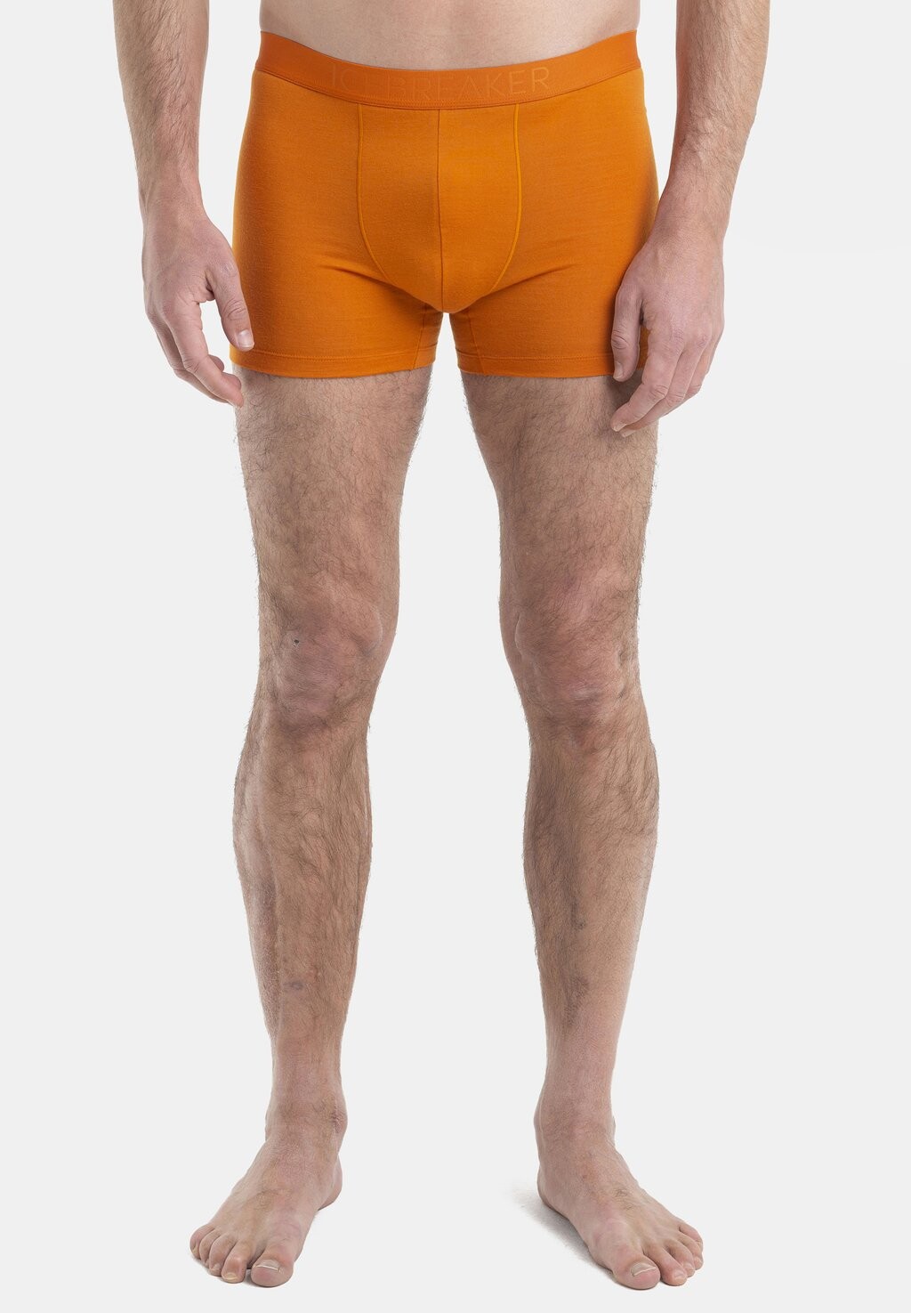 

Трусики M ANATOMICA COOL-LITE BOXERS Icebreaker, цвет earth