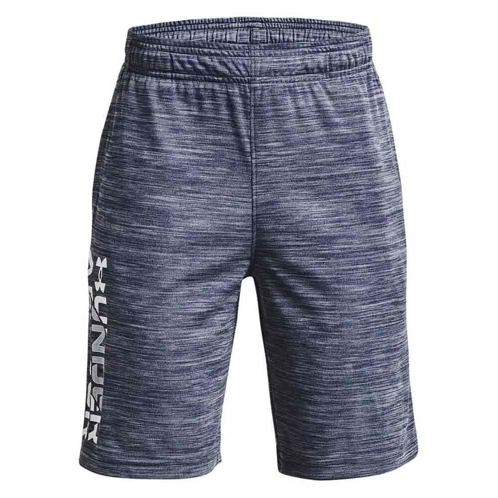 

Шорты Under Armour Prototype 2.0 Wordmark, серый