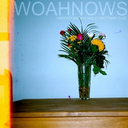 

Виниловая пластинка Woahnows - Understanding And Everything Else