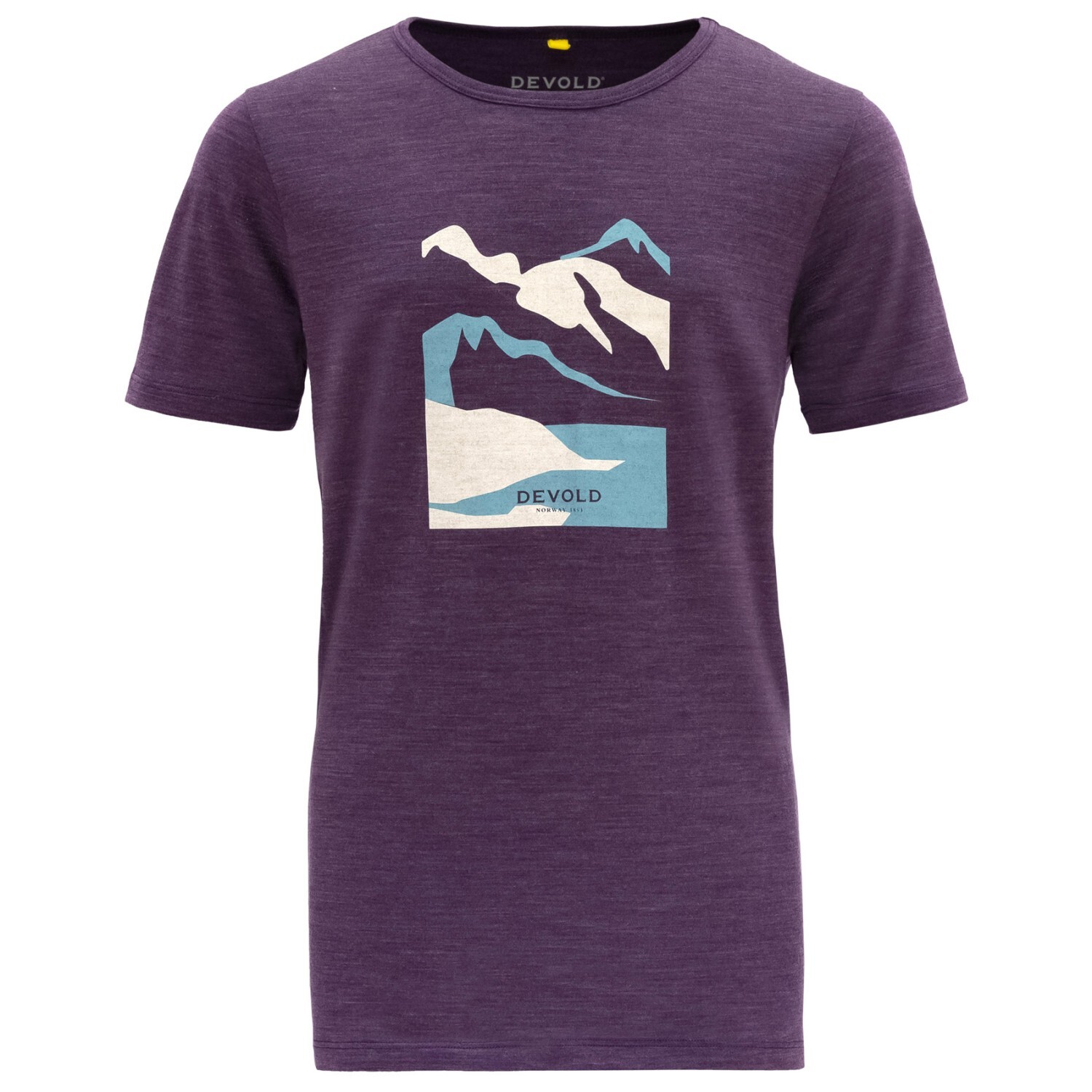 Рубашка из мериноса Devold Junior's Molnes Merino Tee, цвет Lilac цена и фото