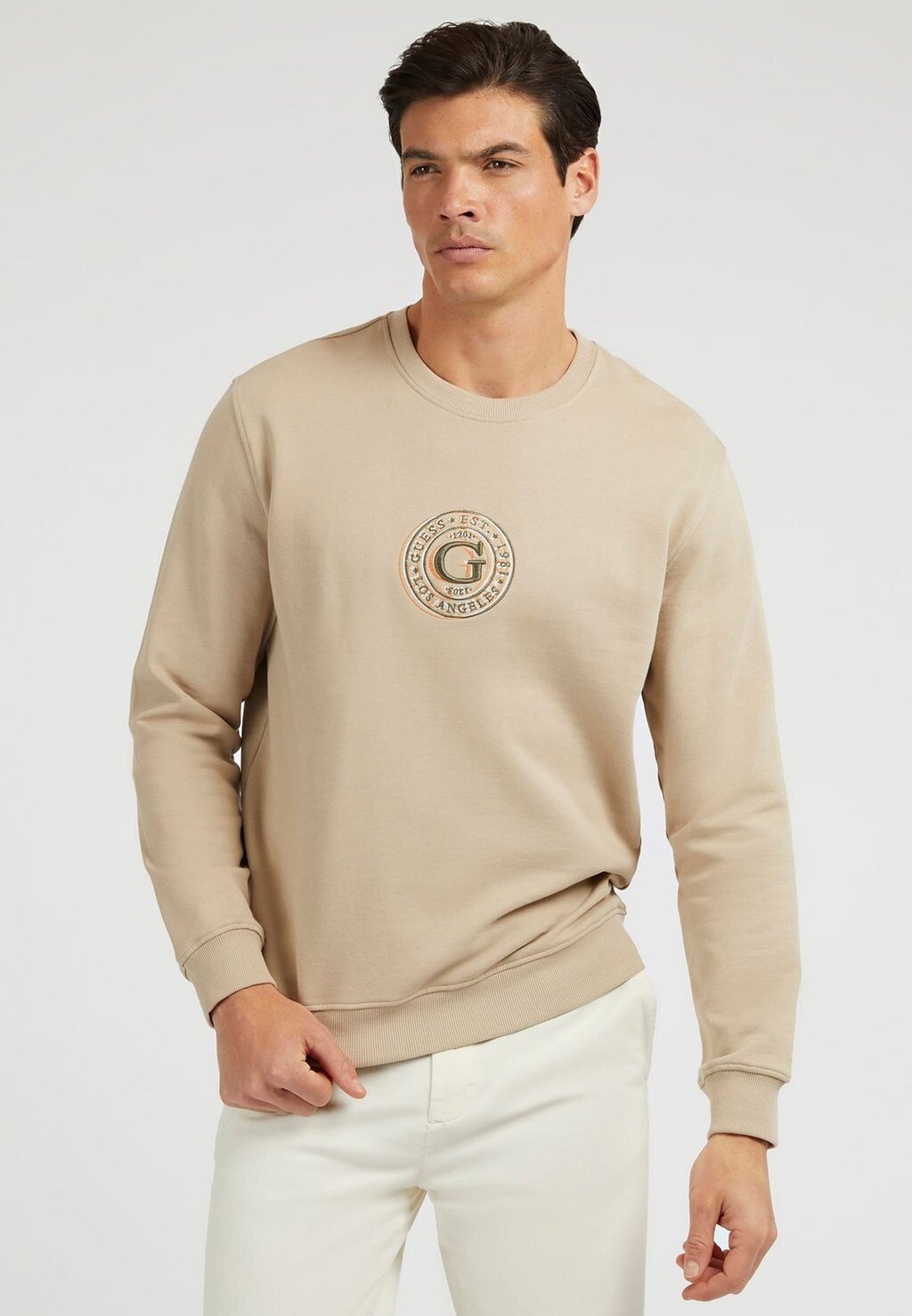 

Толстовка Guess