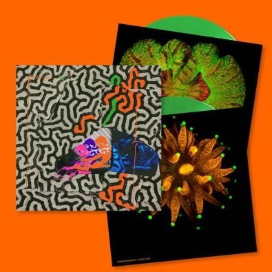 Виниловая пластинка Animal Collective - Tangerine Reef (Limited Edition) виниловые пластинки domino animal collective tangerine reef 2lp