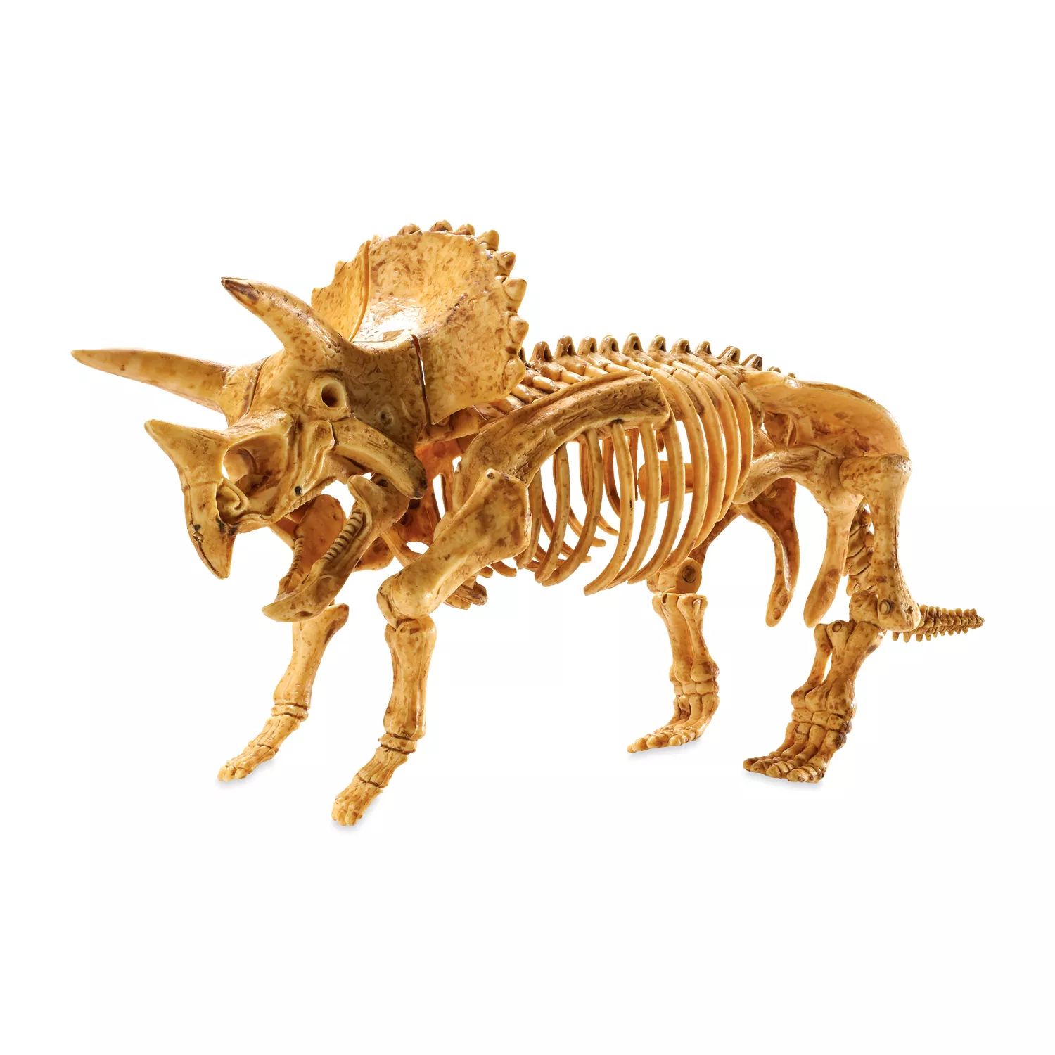 MindWare: раскопай! 3D-модель скелета: Трицератопс цена и фото