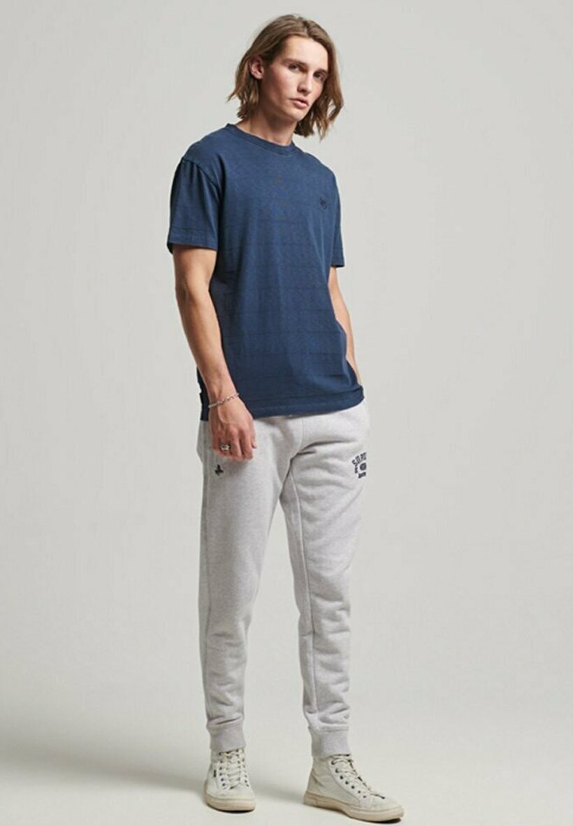 

Спортивные брюки JOGGING Superdry, светло-серый