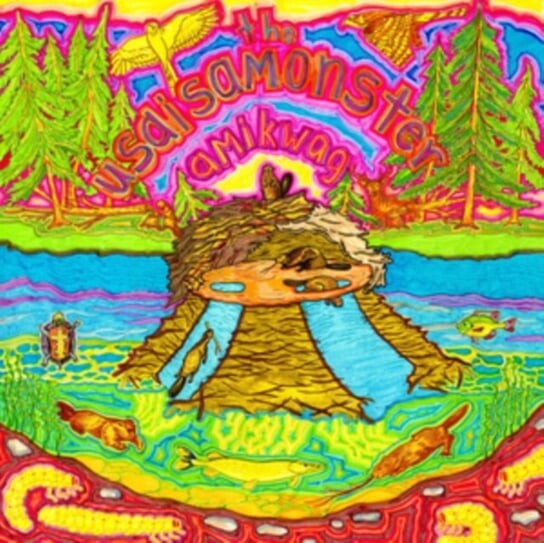 

Виниловая пластинка The Usaisamonster - Amikwag