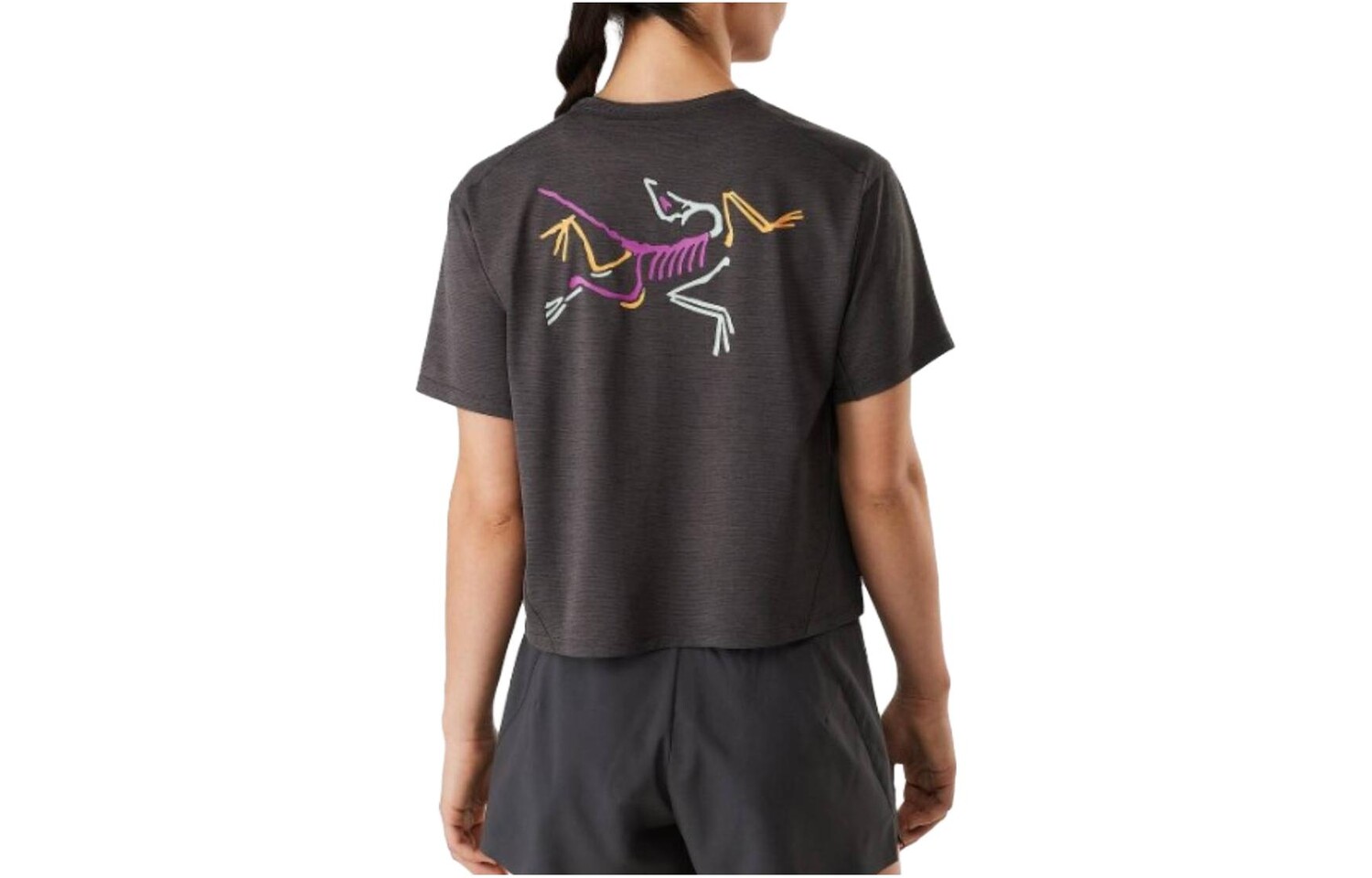 

Футболка женская Arcteryx Taema с принтом, черный