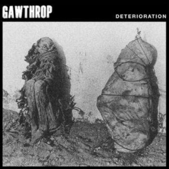 

Виниловая пластинка Sentient Ruin Laboratories - Deterioration