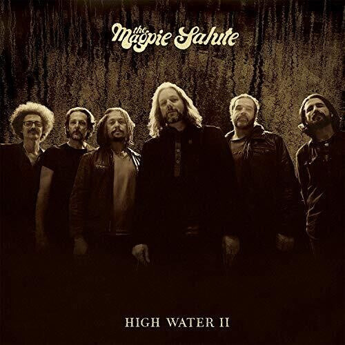 

Виниловая пластинка Magpie Salute: High Water II