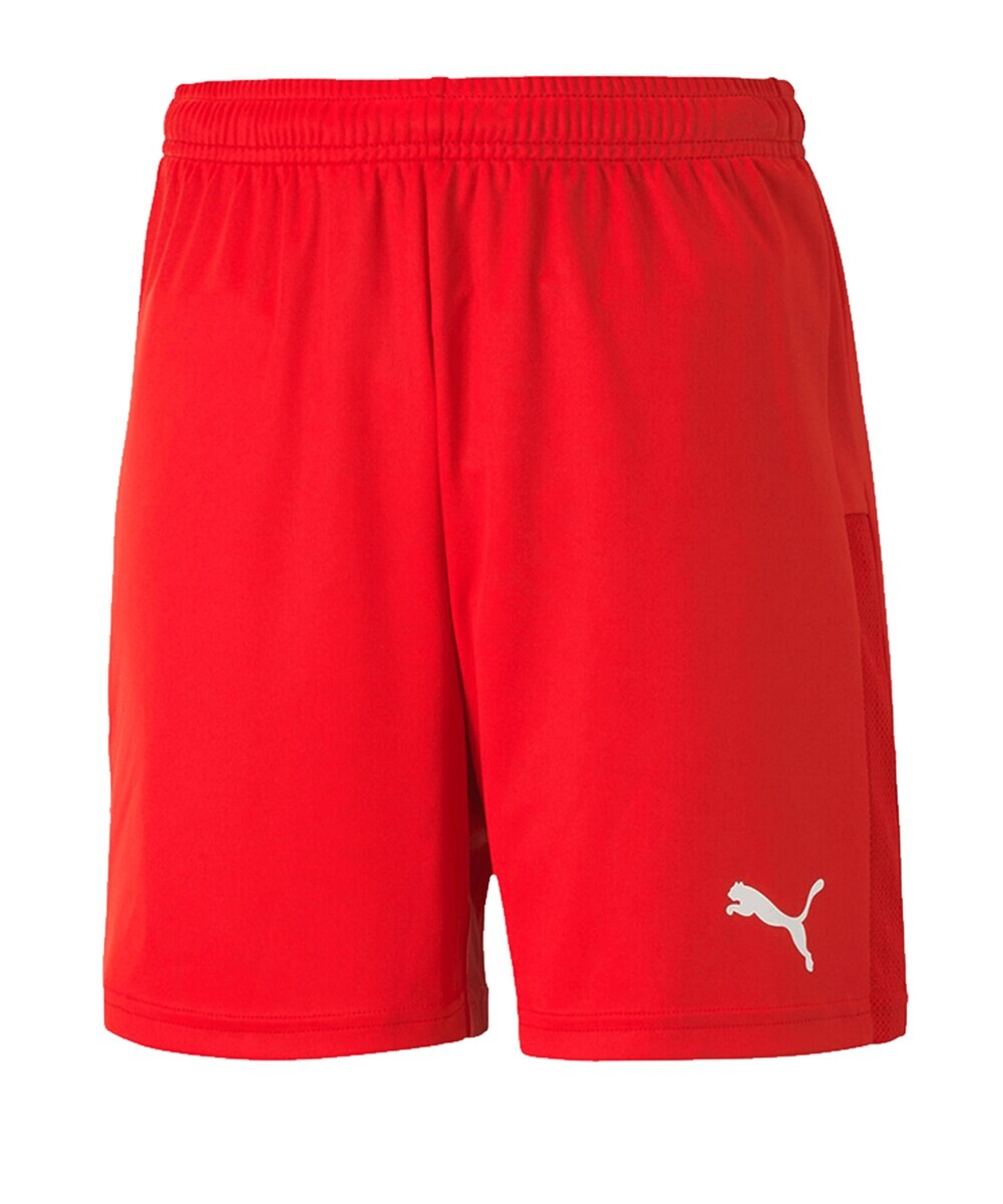 

Обычные тренировочные шорты Puma TeamGOAL 23, красный
