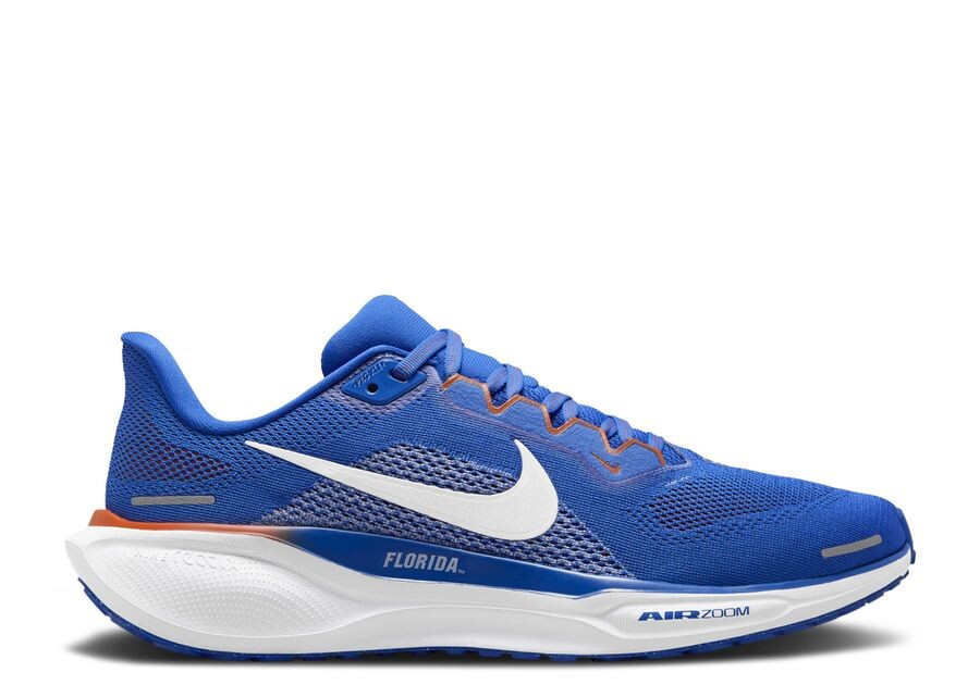 

Кроссовки Nike Air Zoom Pegasus 41, цвет Florida