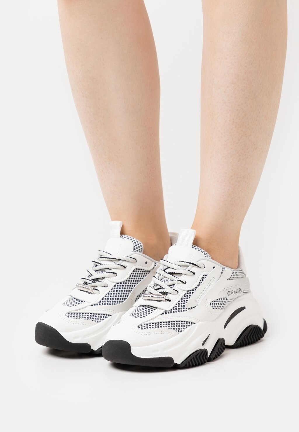 

Кеды Steve Madden