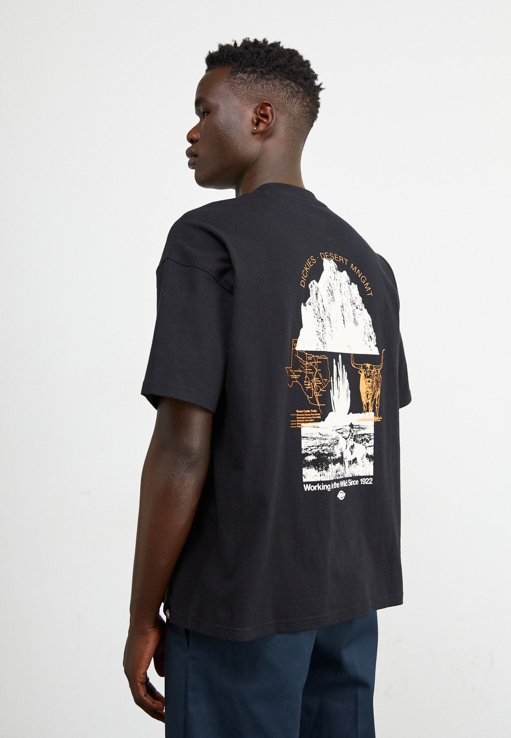 

Футболка с принтом Pearisburg Tee Dickies, черный