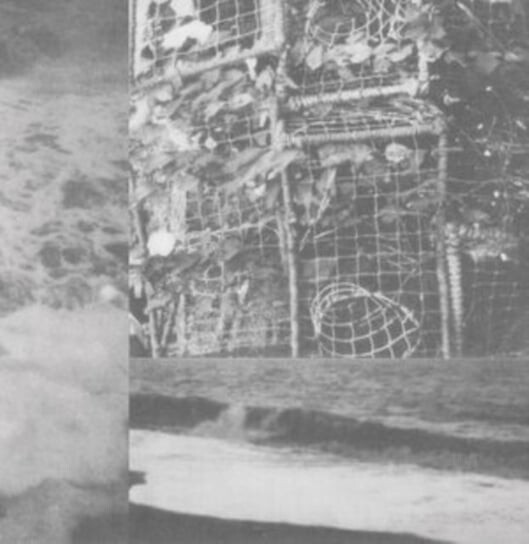 

Виниловая пластинка Cremation Lily - The Processes and Instruments of Normal People