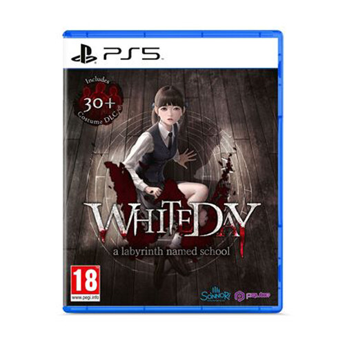 

Видеоигра White Day: A Labyrinth Named School – Ps5